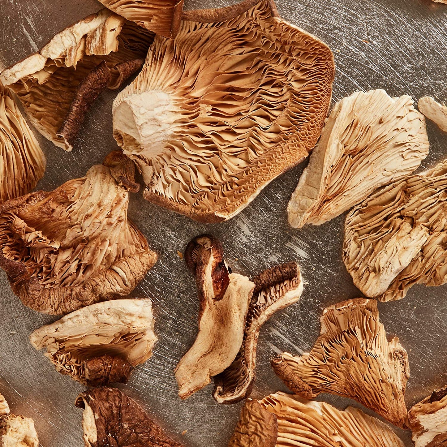 Dried Oyster Mushrooms 2 Ounce